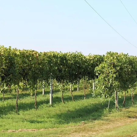 Bed & Breakfast Il Ponticello 3*