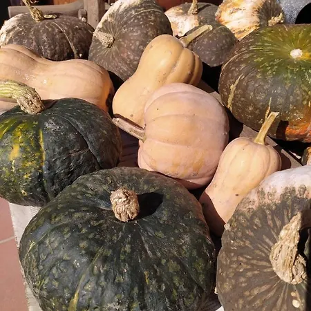 Il Ponticello ベッド・アンド・ブレックファスト Gualtieri