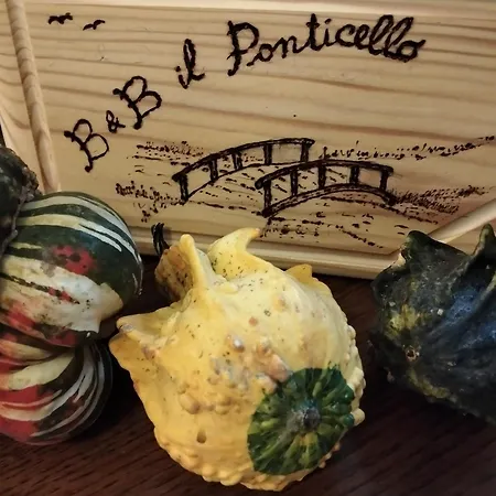 Il Ponticello ベッド・アンド・ブレックファスト Gualtieri