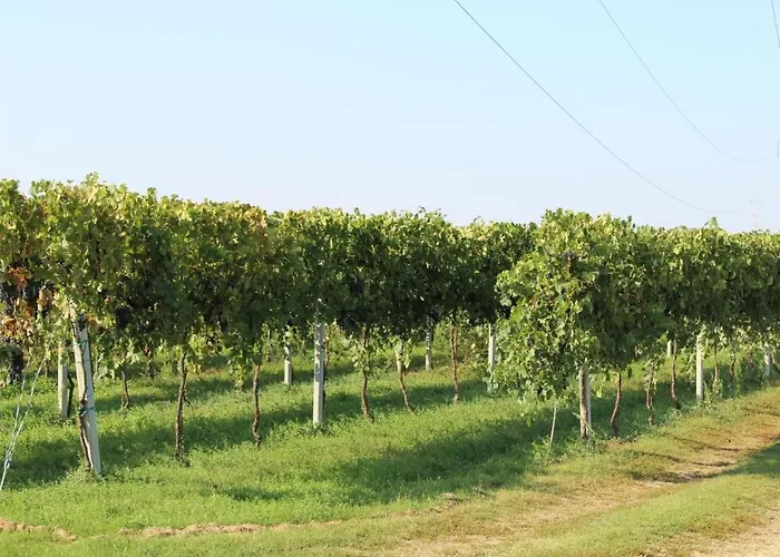 Bed & Breakfast Il Ponticello 3*