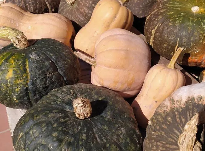 Il Ponticello Bed & Breakfast Gualtieri